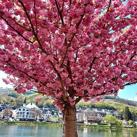 Premium Vulkaneifel Chalet Lutzerath Exterior foto