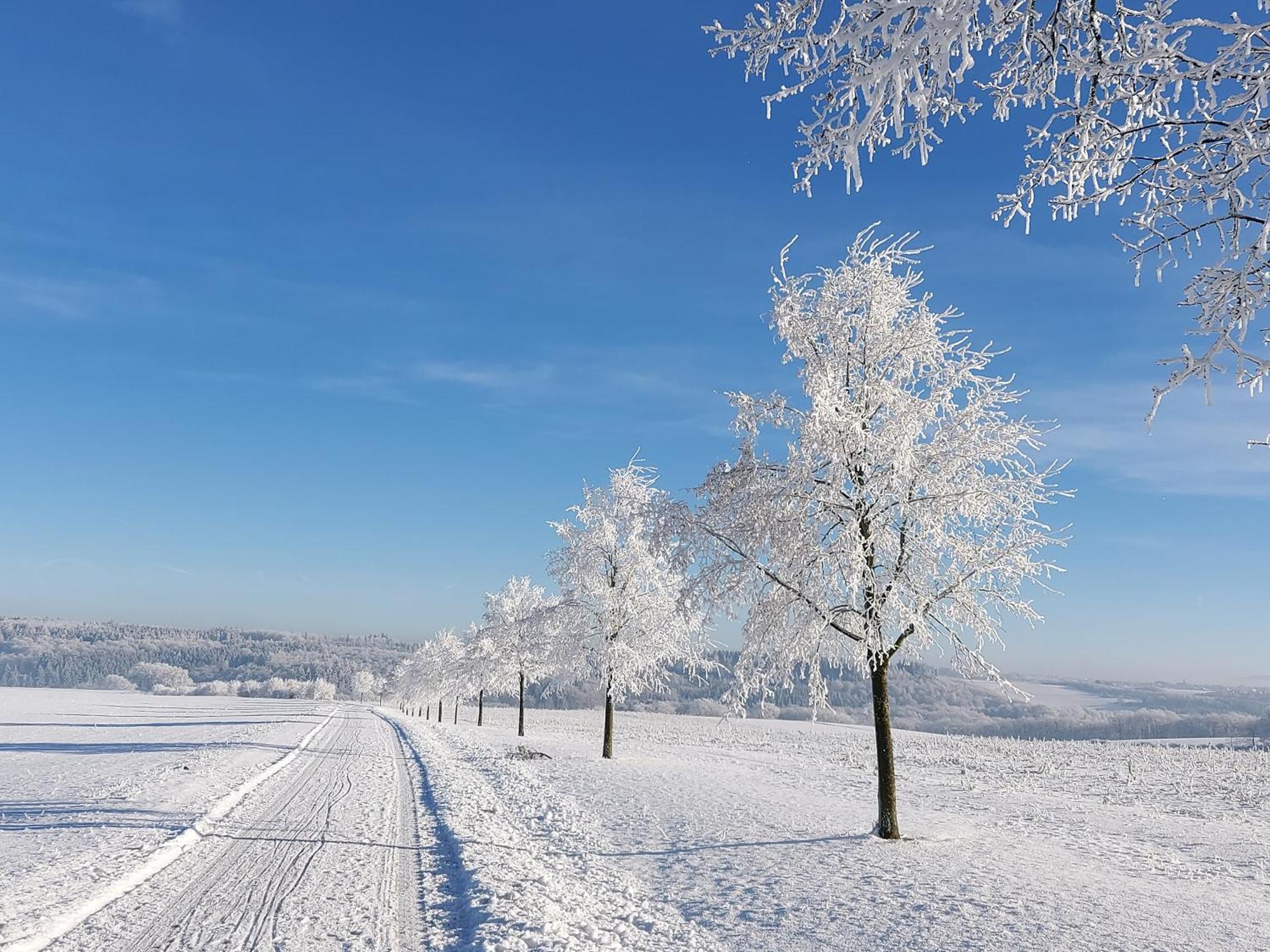 Premium Vulkaneifel