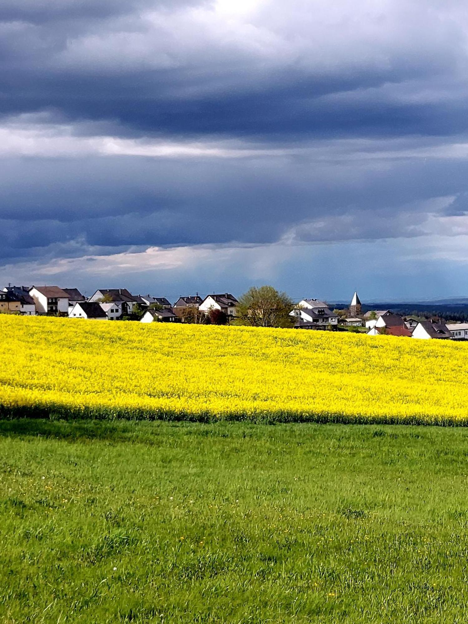 Premium Vulkaneifel Apartment