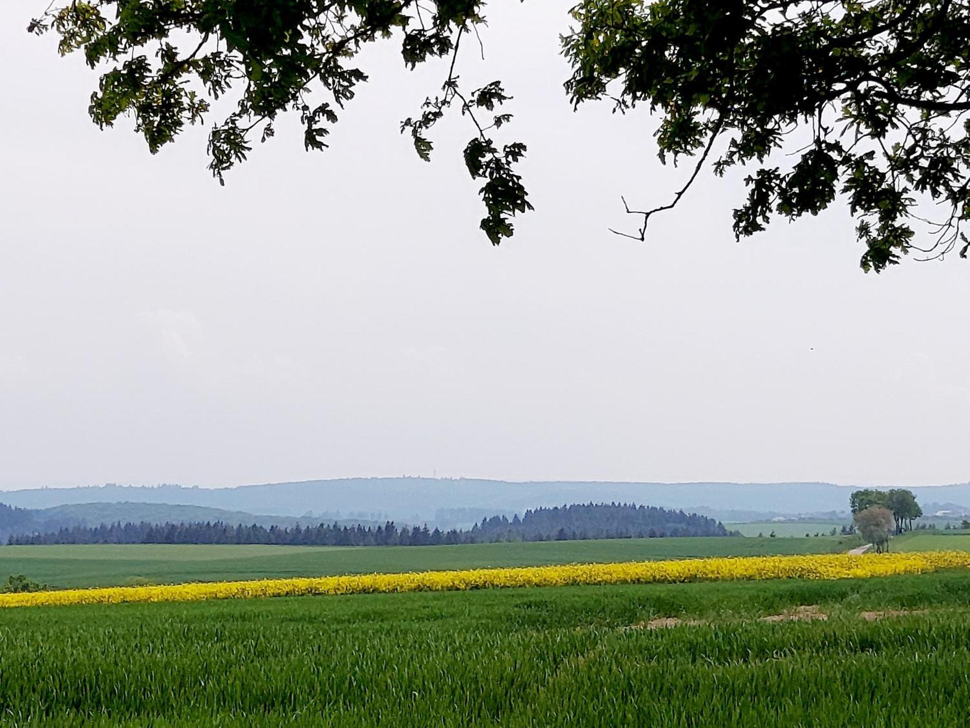 Premium Vulkaneifel Apartment *